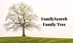 Tree on a green field next to text that says FamilySearch Family Tree