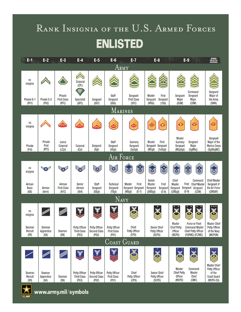 Branches Of The Military Chart