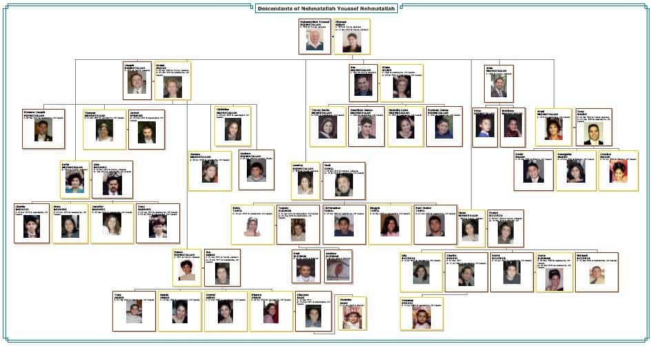 family generation chart
