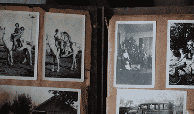 Best Photo Book Services for Family History Albums
