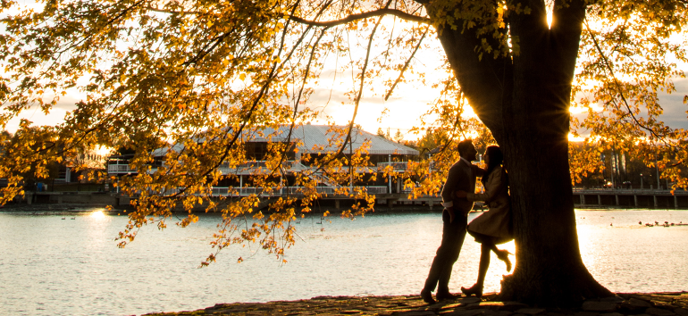 In honor of Valentine’s Day, use these family tree building tips to reconstruct the families that have resulted from many past romances.