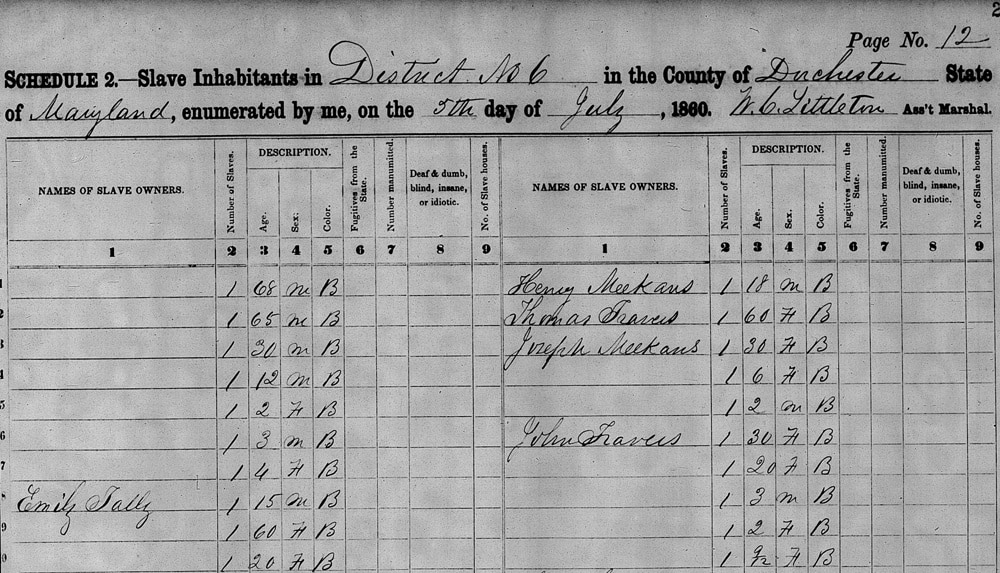 A slave schedule from 1860