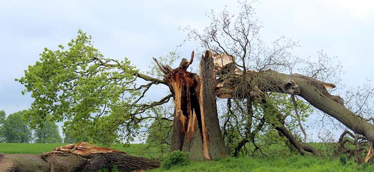 Rewinding your research begins with fixing data problems in your family tree.