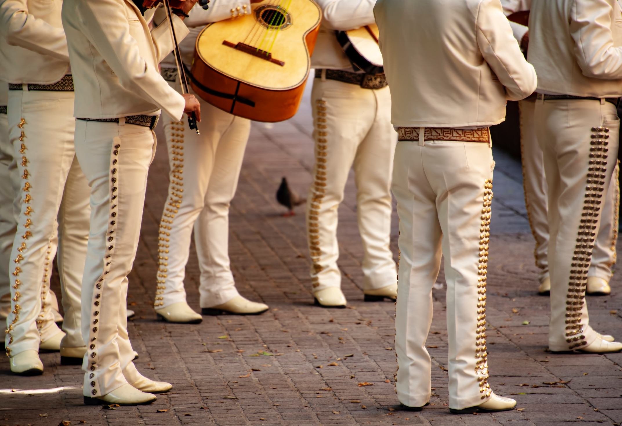 cinco de mayo mariachi