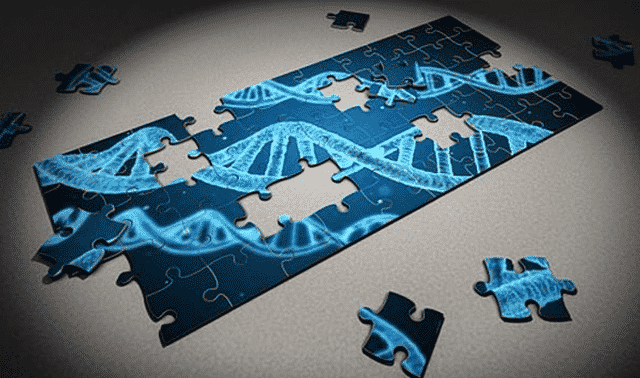 Best DNA Test Tips for Genetic Genealogy Beginners