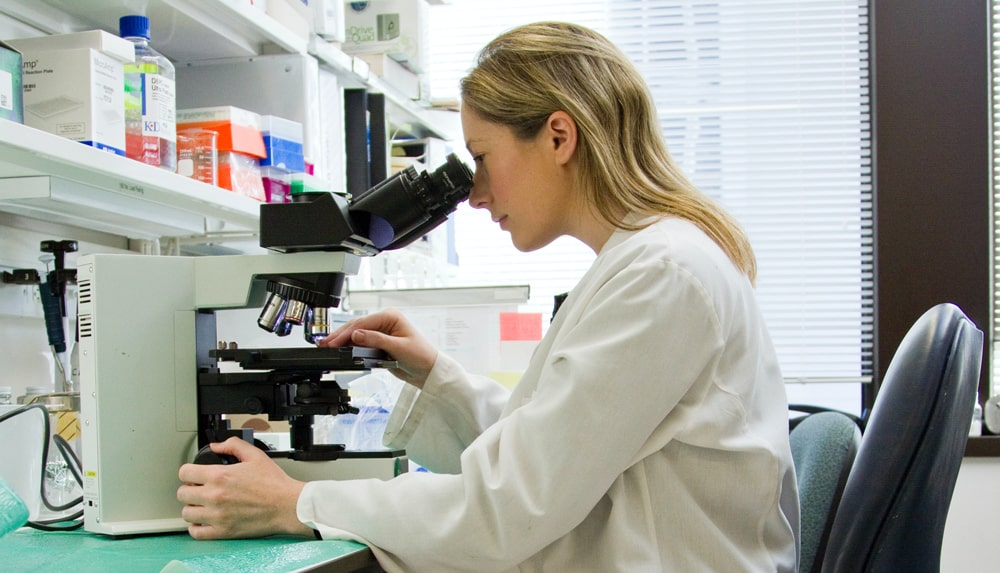 A person in a lab coat is using a microscope on a green countertop in a laboratory with shelves of supplies and equipment in the background.