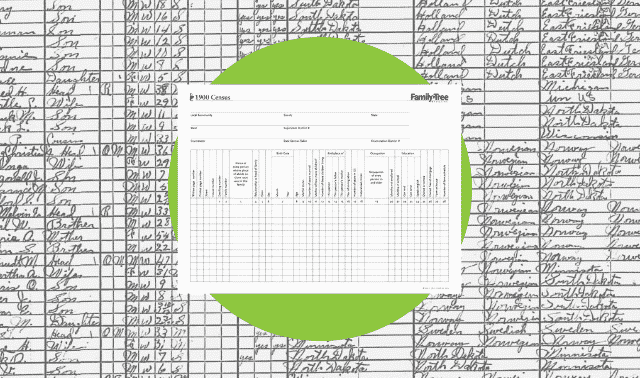 1900 Census Worksheet for Genealogy Research