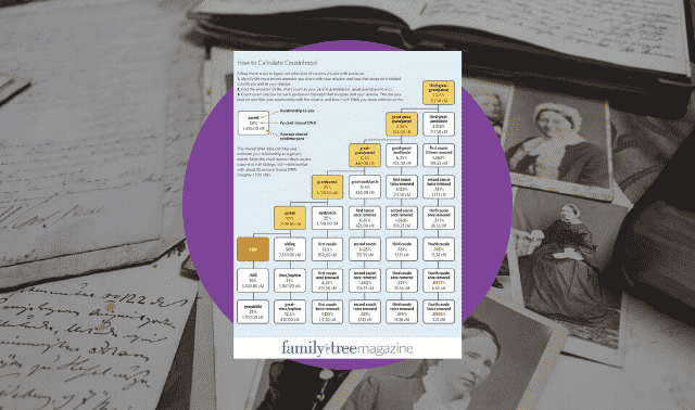 Cousin Chart: Free Download to Determine DNA Matches
