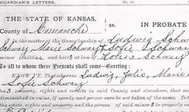 Probate court document from the State of Kansas, County of Comanche, detailing guardianship matters for Ludwig Schwarz, Marie Schwarz, and Sophie Schwarz, signed by various parties involved.