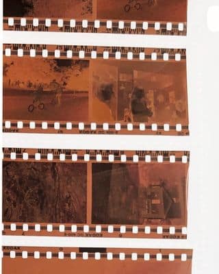 Strips of film negatives