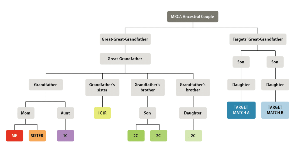 Descendant chart family tree with multiple colors that has an unknown most recent common ancestral couple at its top. Target Matches A and B are positioned as third cousins once removed to the author and most of his known relatives (a sister, a first cousin, and a few second cousins)