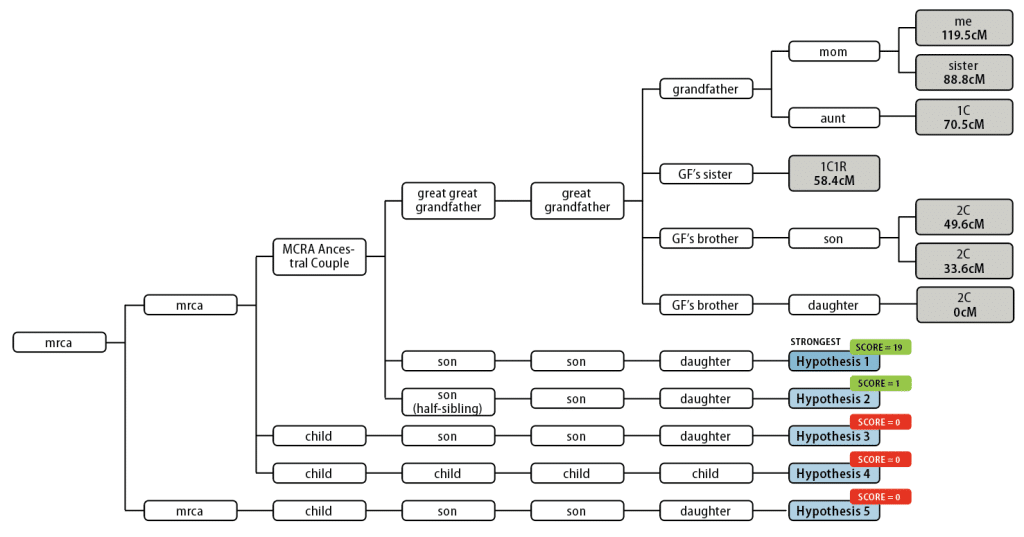 Seven-generation-ancestor chart that shows various test takers are related to each other. The lower branches of the three are labeled "hypotheses" and show possible connections that Target A