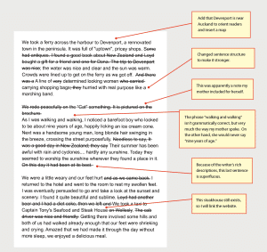 How to Adapt Old Family Diaries, Journals and Letters for Modern Audiences