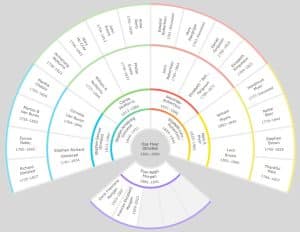 The Best Family Tree Websites Compared: Where to Build Your Tree