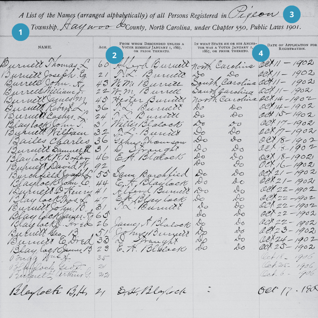 A historical registration list from 1902 in Pigeon Township, Haywood County, NC, showing names, birthplaces, states of residence, and dates of application.