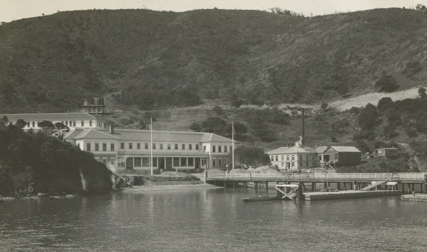 Black and white photo of waterfront buildings and a dock at the base of a tree-covered hillside.